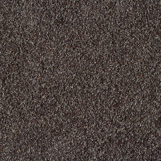 Pavot Bleu Graines / Sachet de 1 Kg