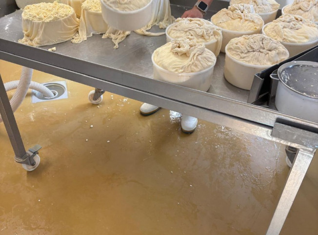 Création et installation d'une fromagerie en Saône-et-Loire (71)