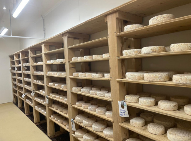 Création et installation d'une fromagerie dans le Gers (32)