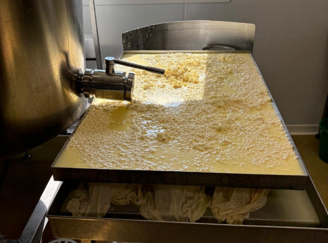 Création et installation d'une fromagerie en Saône-et-Loire (71)