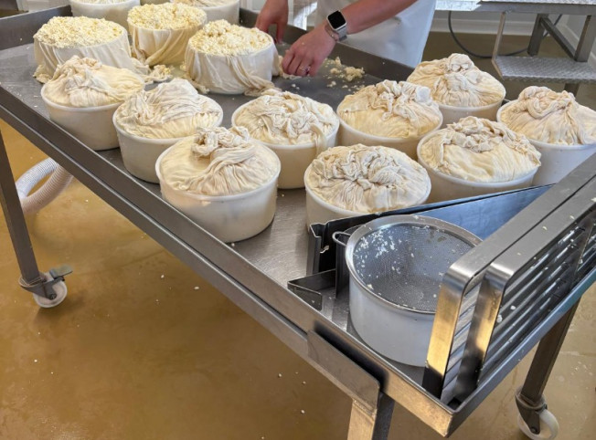 Création et installation d'une fromagerie en Saône-et-Loire (71)