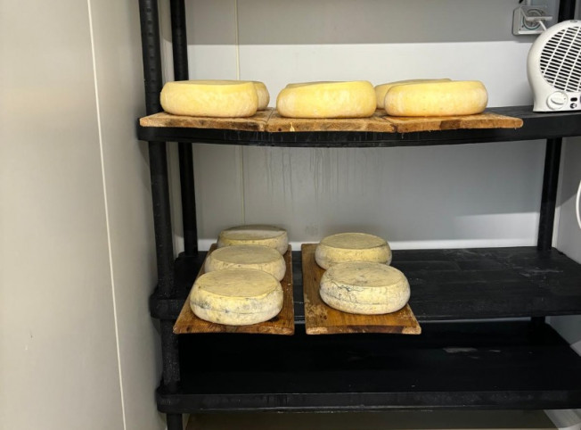 Création et installation d'une fromagerie en Saône-et-Loire (71)